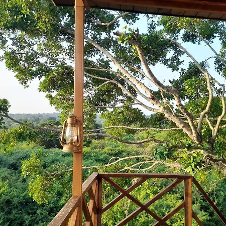 Leopard Nest - Glamping In Yala Hotel Exterior photo