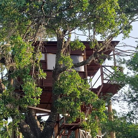 Leopard Nest - Glamping In Yala Hotel Exterior photo