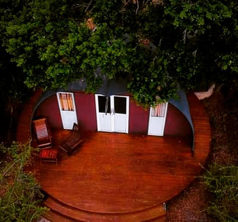 Leopard Nest - Glamping In Yala Hotel Exterior photo