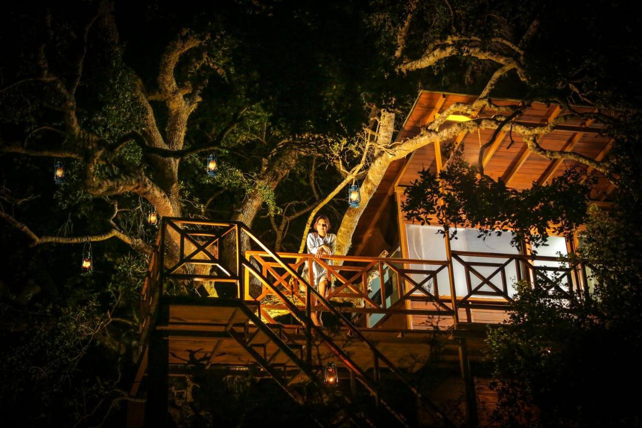 Leopard Nest - Glamping In Yala Hotel Exterior photo