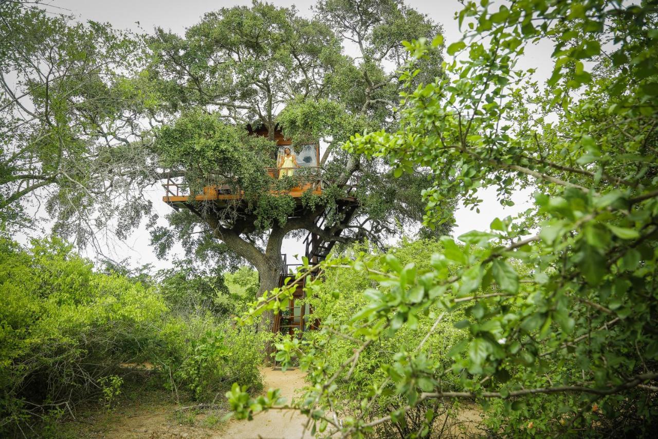 Leopard Nest - Glamping In Yala Hotel Exterior photo