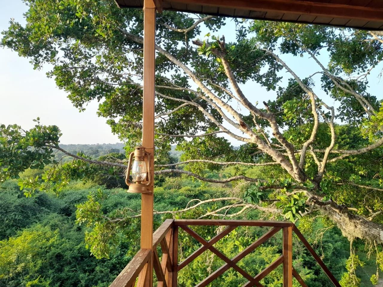 Leopard Nest - Glamping In Yala Hotel Exterior photo