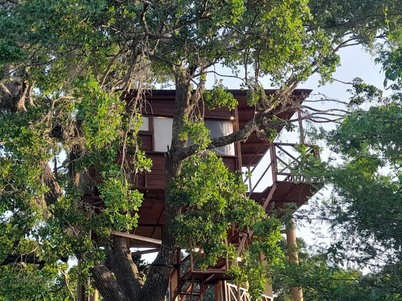 Leopard Nest - Glamping In Yala Hotel Exterior photo