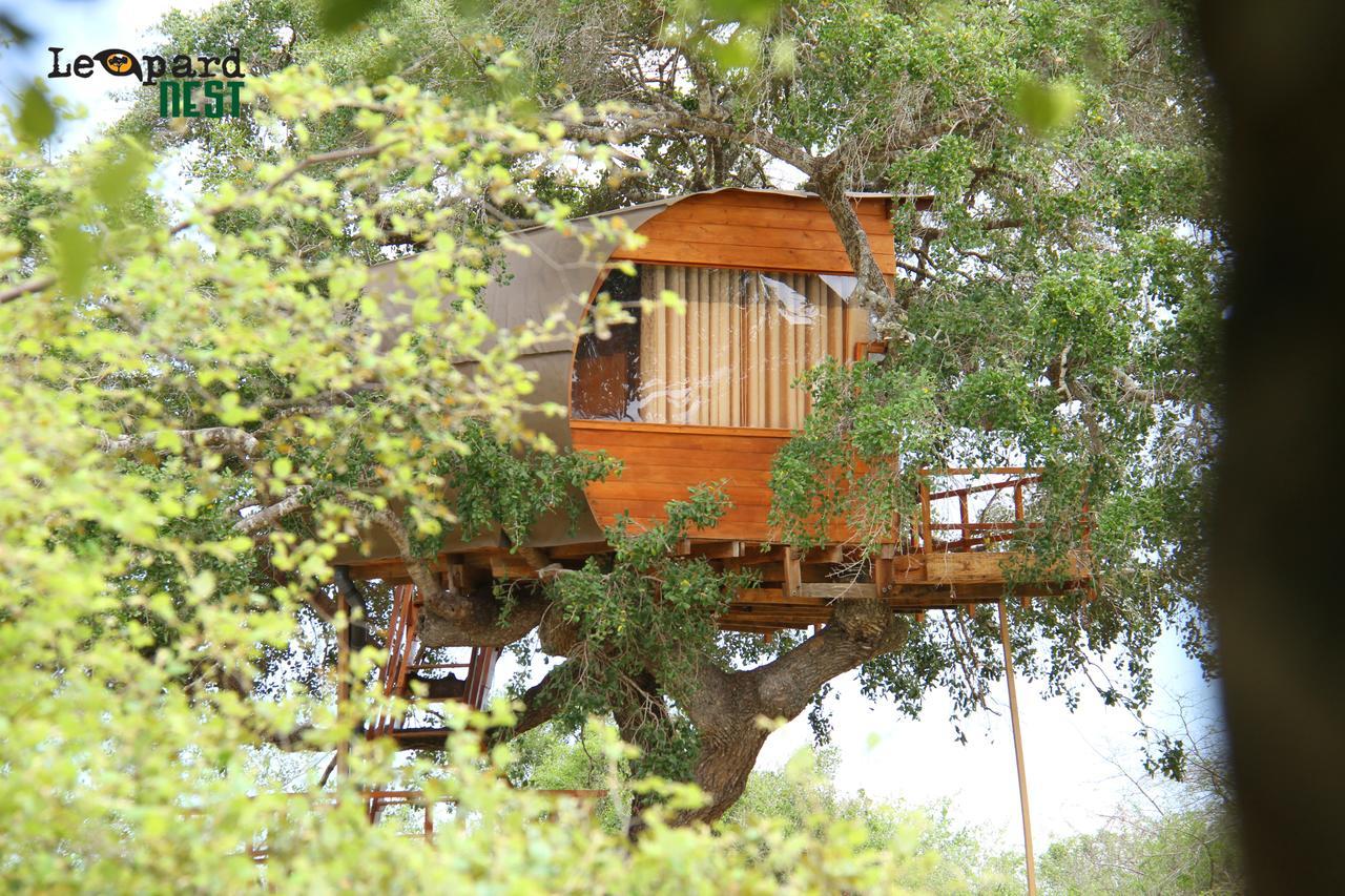 Leopard Nest - Glamping In Yala Hotel Exterior photo