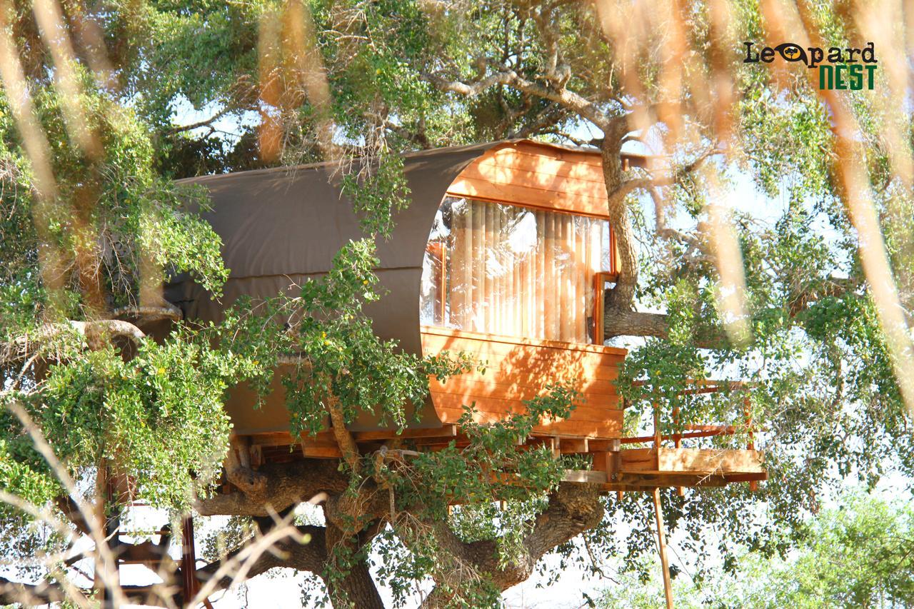 Leopard Nest - Glamping In Yala Hotel Exterior photo