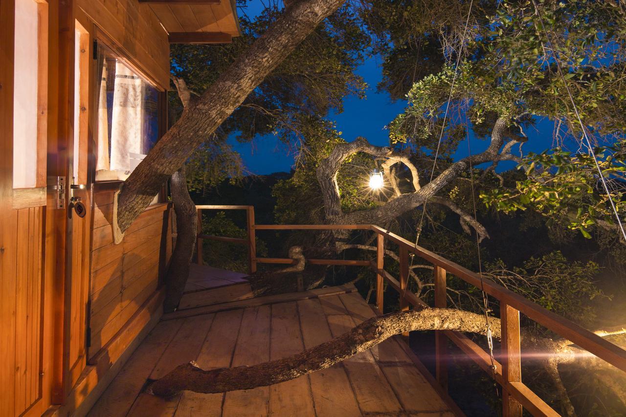 Leopard Nest - Glamping In Yala Hotel Exterior photo